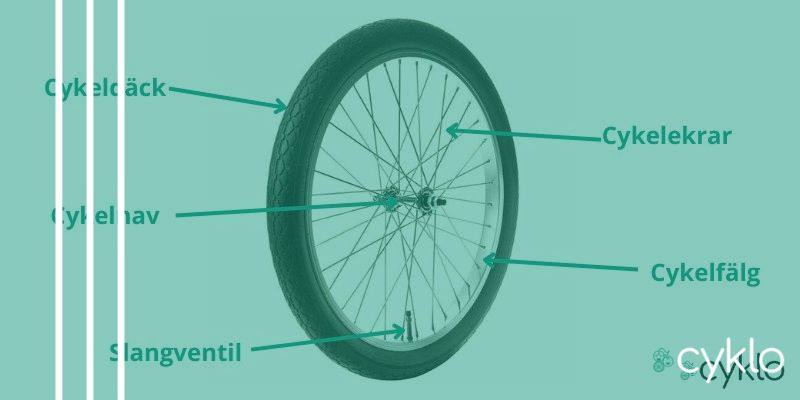 Ett Cykelhjul Vad r Vad d ck F lg Hjul Ekrar Nav Cyklo se